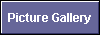  Picture Gallery 